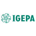 IGEPA Solvent Polyester Clear Film