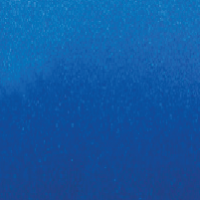 Avery Supreme Wrapping Film